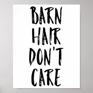 Damen im Barnhaar Dont Pflegepferd Gezeter Pferd G Poster