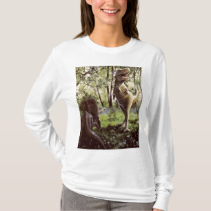 Damen-lange Hülse T-Shirt