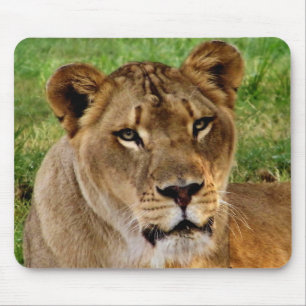 Damenmousepad Mousepad