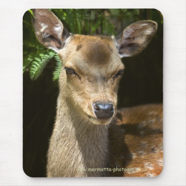 Damhirsch-Mauspad Mousepad (Vorne)