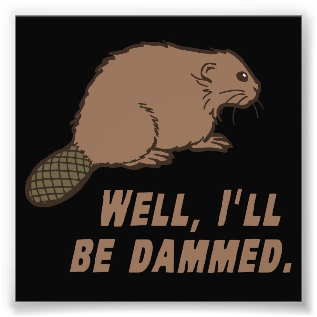 Dammed Beaver Fotodruck (Vorne)