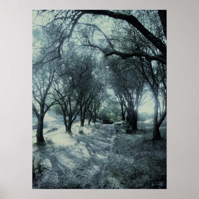 Dämmerung Poster (Vorne)