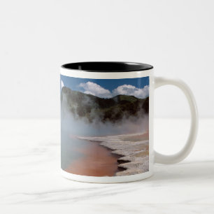 Dampf aufsteigend aus dem Champagne Pool in WAI-O- Zweifarbige Tasse