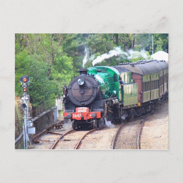 Dampfzug bei Picton Postkarte (Vorderseite)