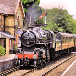 DAMPFZÜGE PAPPTELLER