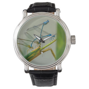 Damselflies, die durch das Wasser gesellig sind Armbanduhr