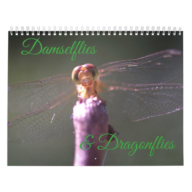 Damselflies-und Libellen-Kalender Kalender (Titelbild)