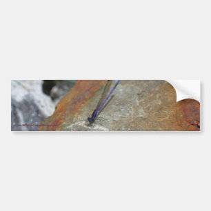 Damselfly Nature Autoaufkleber Kunst und Kultur