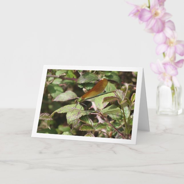 Damselfly-Portrait-Karte Karte (Orchidee)