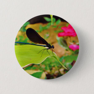 Damselfly und Rose Button