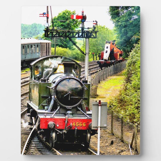 DAMTRAG FOTOPLATTE (Vorderseite)