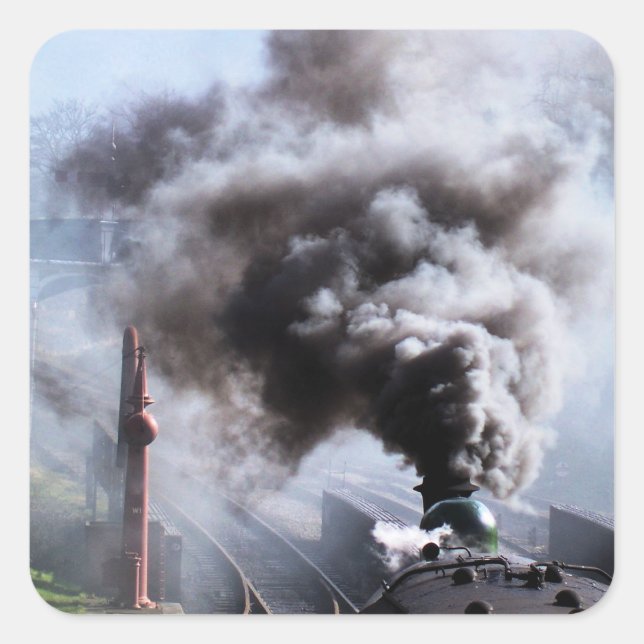 DAMTRAG QUADRATISCHER AUFKLEBER (Vorderseite)