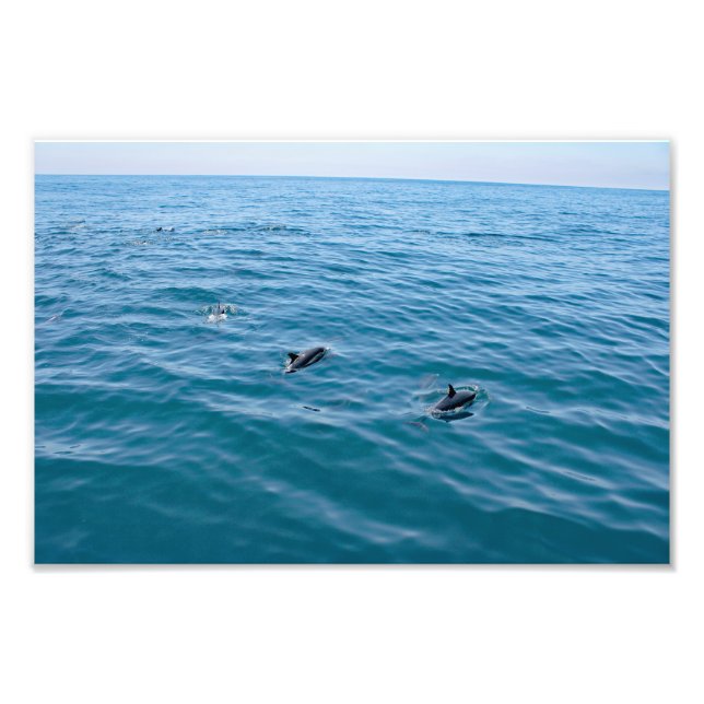 Dana Point Fotodruck (Vorne)