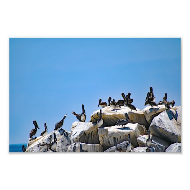 Dana Point Fotodruck (Vorne)