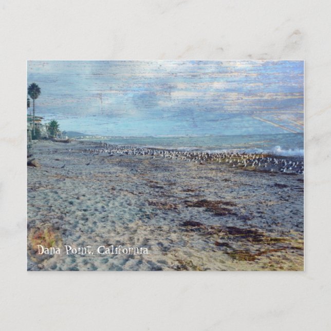 Dana Point, Kalifornien Postkarte (Vorderseite)