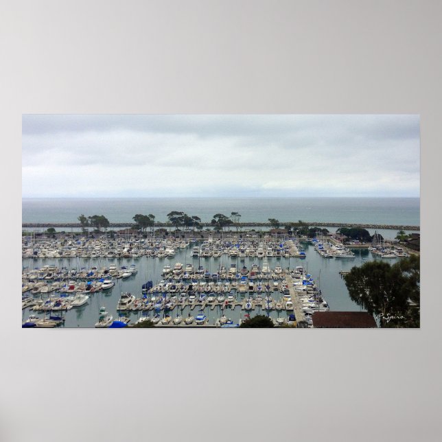 Dana Point Marina Poster (Vorne)