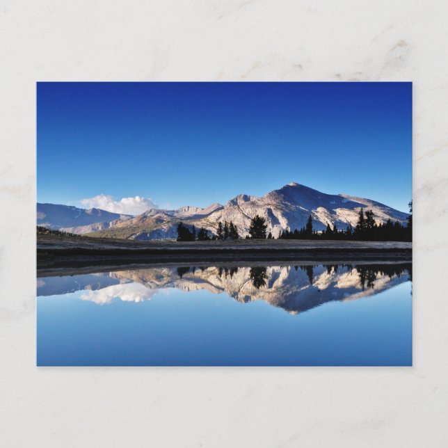 Dana, Tuolumne Meadows, Yosemite, CA. Postkarte (Vorderseite)
