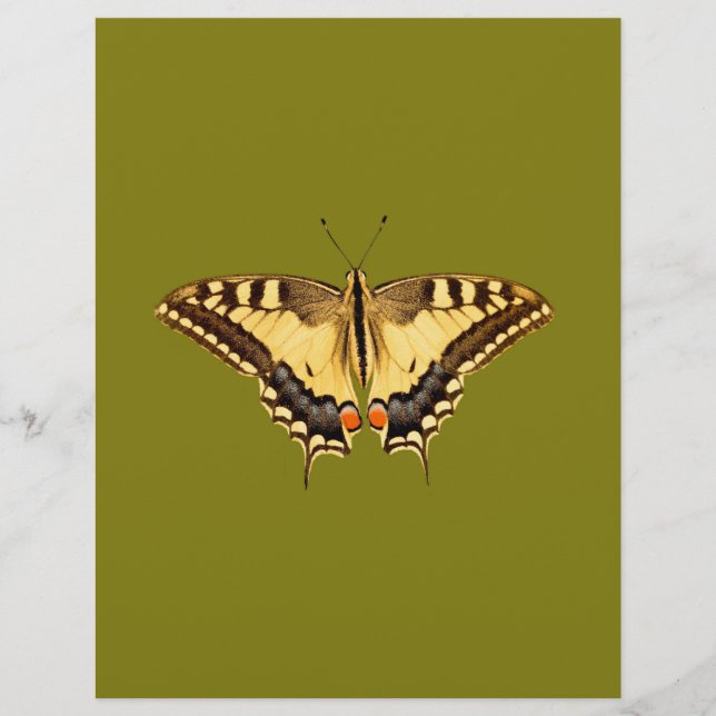 Dancing Butterfly (Vorderseite)