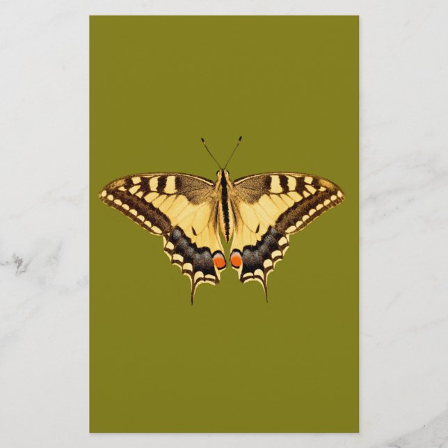 Dancing Butterfly (Vorderseite)