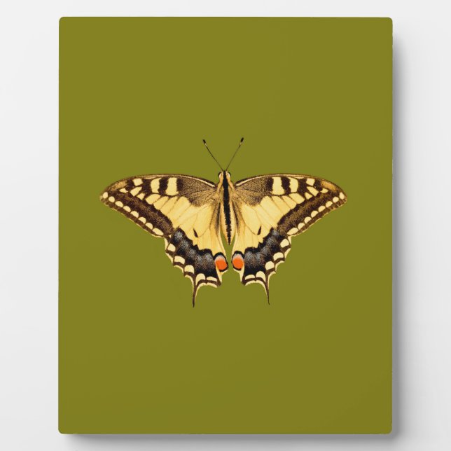 Dancing Butterfly Fotoplatte (Vorderseite)