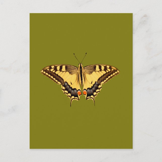 Dancing Butterfly Postkarte (Vorderseite)