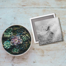 Dancing with birds I