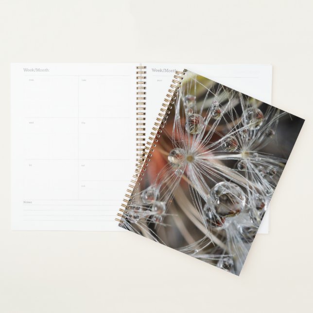 Dandelion Abstrakt Planer (Anzeige)