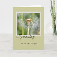 Dandelion Beileid