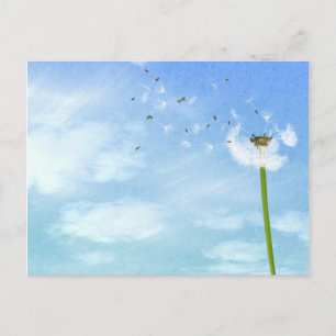 Dandelion Blue Sky Nature Illustration Postkarte