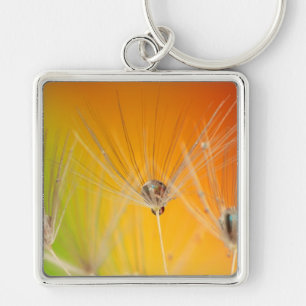 Dandelion blüht Blume Destiny Peace Liebe Art Schlüsselanhänger