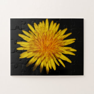 Dandelion Blume 11x14 30pc jpcn