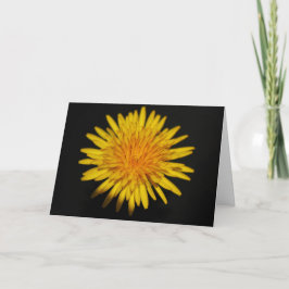 Dandelion Blume gccna Karte