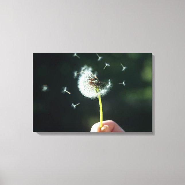 Dandelion-Blume Leinwanddruck (Vorderseite)