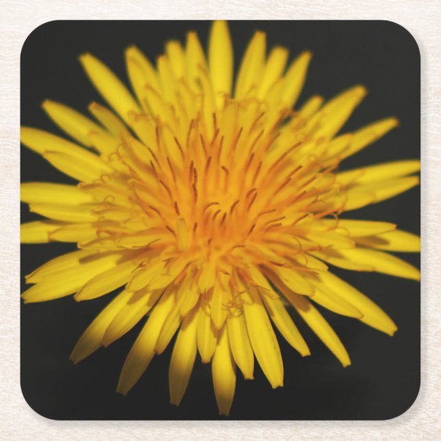 Dandelion-Blume Rechteckiger Pappuntersetzer (Vorderseite)