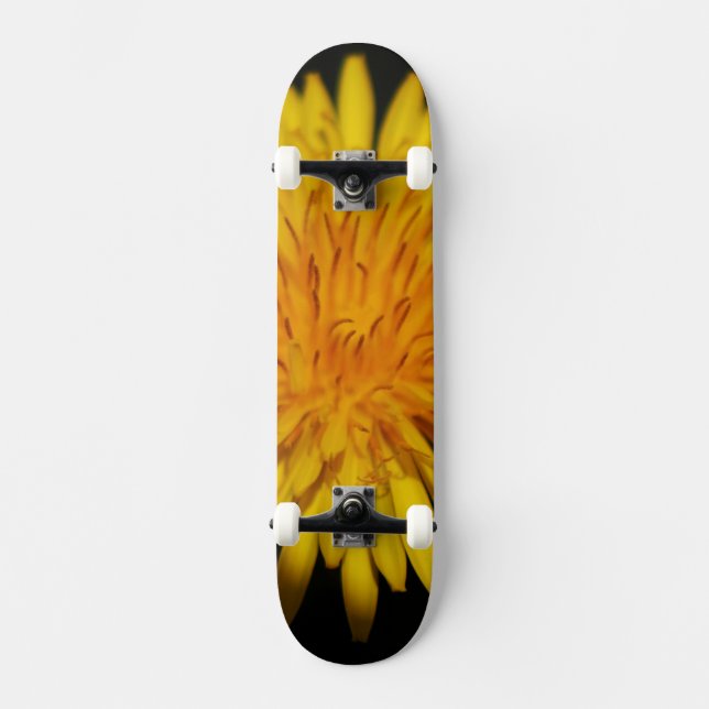 Dandelion Blume sdcna Skateboard (Vorderseite)