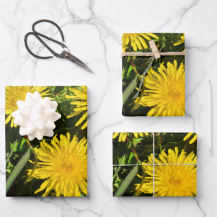 Dandelion Blume Trio Geschenkpapier Set