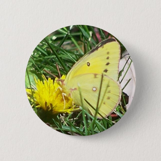 Dandelion Butterfly Button (Vorderseite)