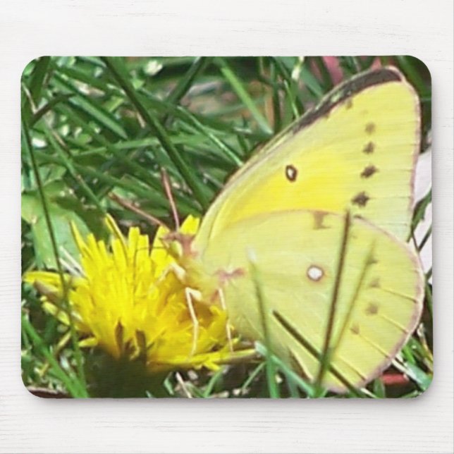 Dandelion Butterfly Mousepad (Vorne)