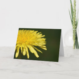 Dandelion, carte