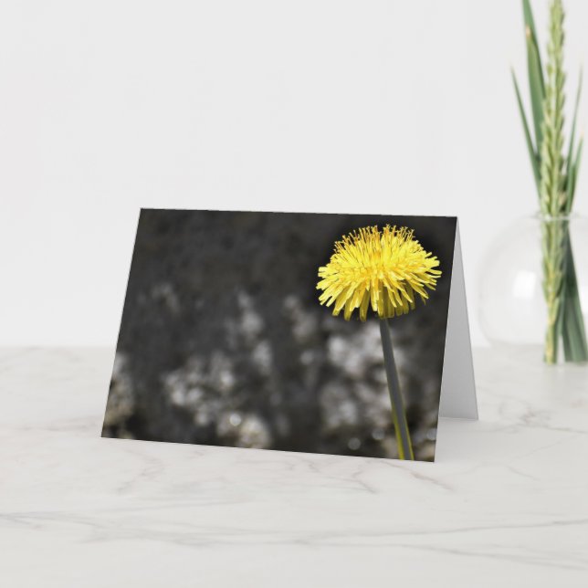 Dandelion, carte (Devant)