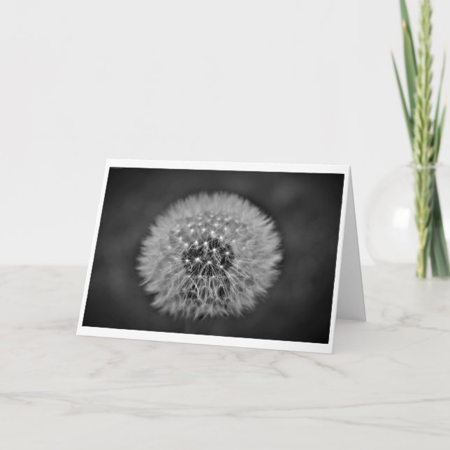 Dandelion, carte (Devant)