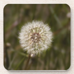 Dandelion Cork Untersetzer
