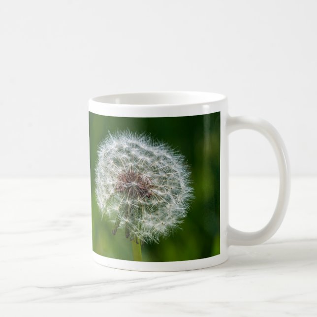 Dandelion Dans La Mug De Café Léger (Droite)