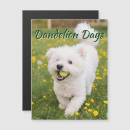 Dandelion Days Magnetkarte