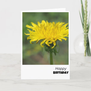 Dandelion Delight Birthday Card Dankeskarte