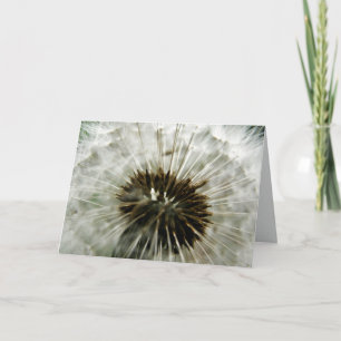 Dandelion Dreams Card Karte