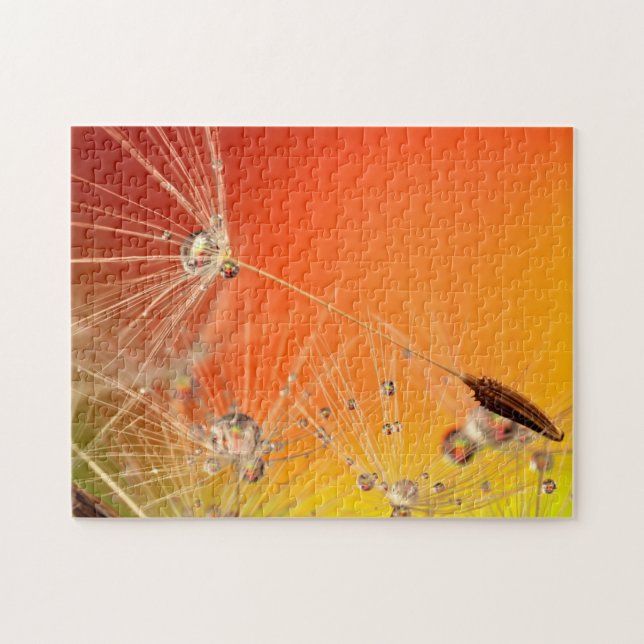 Dandelion Drops Puzzle Gift (Horizontal)