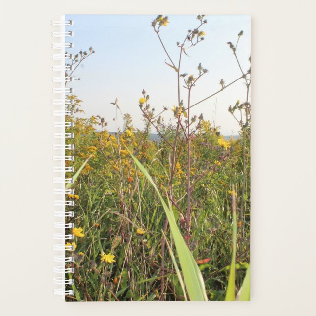 Dandelion Field Bokeh Planer (Vorderseite)