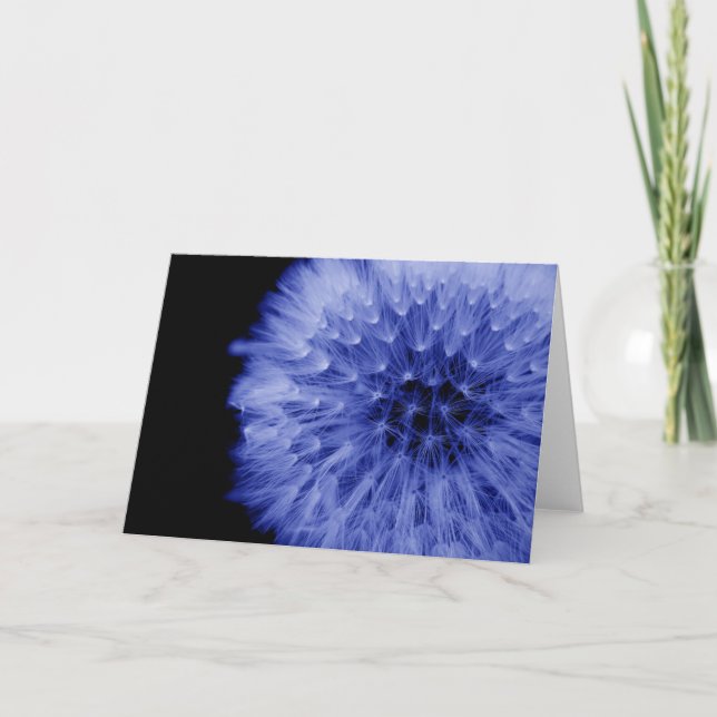 Dandelion Fine Art Karte (Vorderseite)