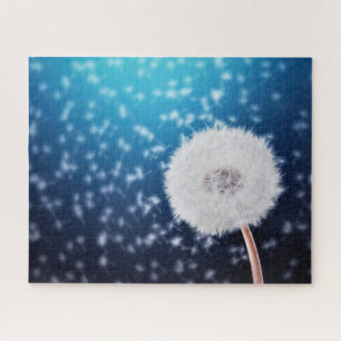 Dandelion Fly - schön